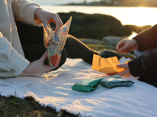 Hosting a Green Picnic: Easy Tips for Sustainable Fun