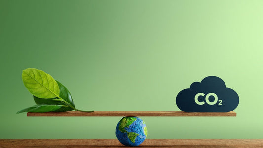 Plastic Wrap vs Beeswax Wrap: A Carbon Emission Comparison that Might Surprise You!