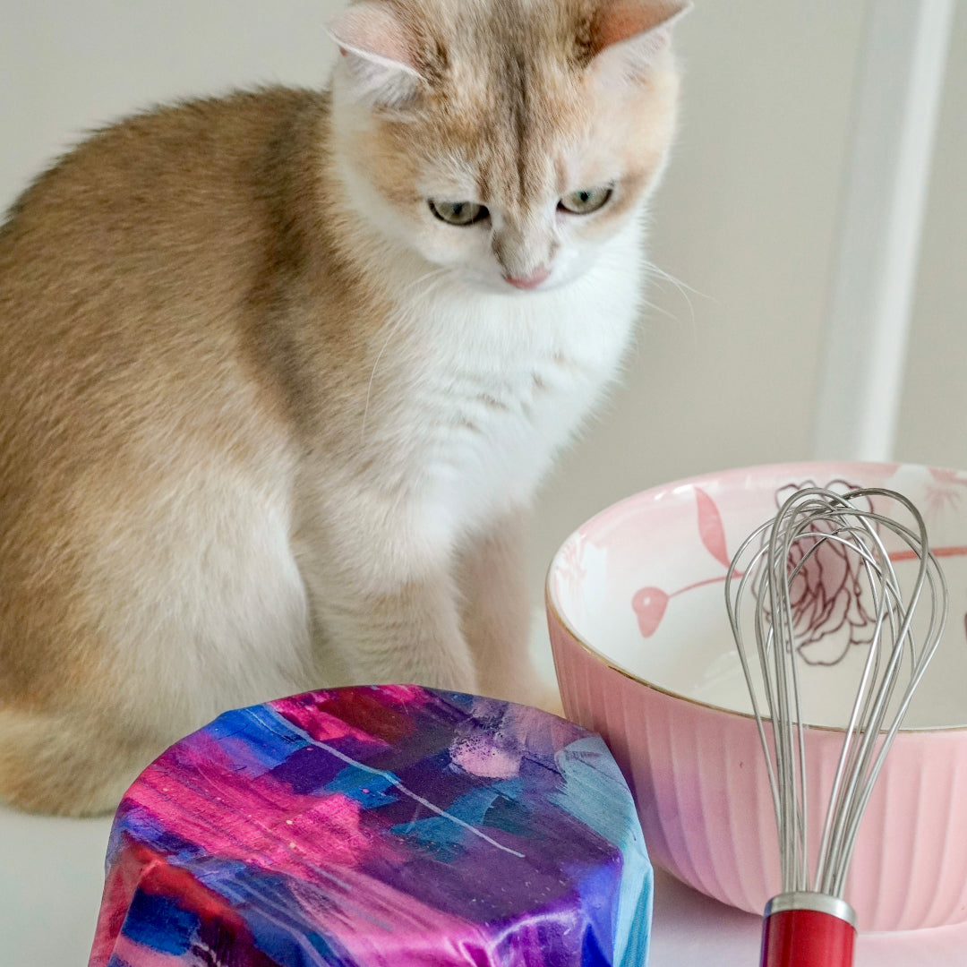 A light brown and white cat sits next to a bowl covered with Superwrap’s upcycled beeswax wrap in the ‘Blush Blossom’ design